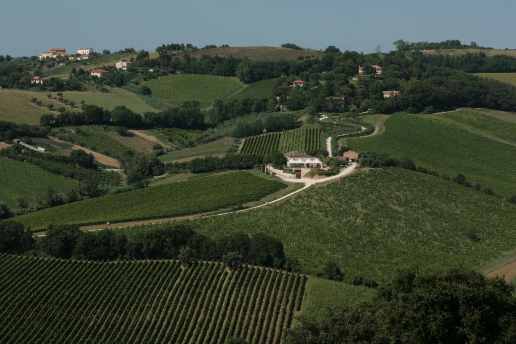 Agriturismo Le Vigne Del Conero Ancona Buitenkant foto