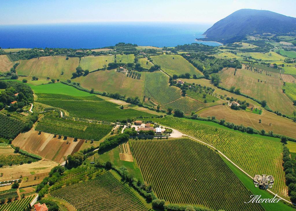 Agriturismo Le Vigne Del Conero Ancona Buitenkant foto