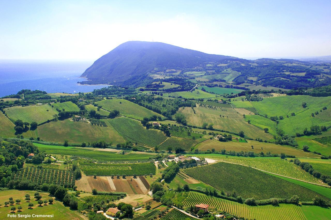 Agriturismo Le Vigne Del Conero Ancona Buitenkant foto